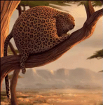 Animal #34