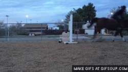 Naw Id Rather Dismount #1