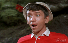 Gilligan #1