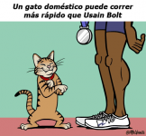 Atletismo #1