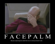 Facepalm #2