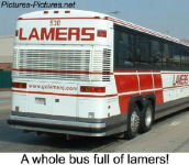 Bus of lamers #1