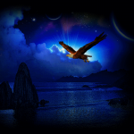 Volando #59