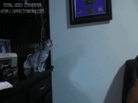 Epic Fail #49