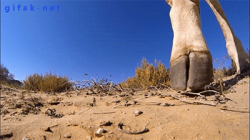 Senorgif.com #1077