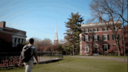 Harvard #4