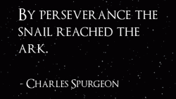 Perseverance #61