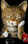 Imagenes #147