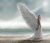 ángel #18
