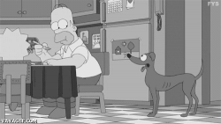 Homer #5