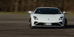 Gallardo #2