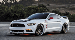 Mustang #1