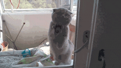 Open The Door Before Its Too La #1