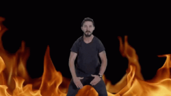 Shia #23