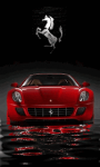 Ferrari #8