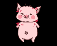 Pig #19