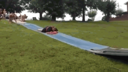 Fails #2