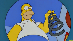 Simpson #25
