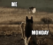 Mondays #1