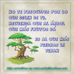 No te precipotes #42