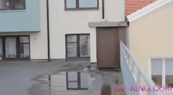 Salto #38