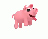 Pig #35