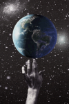 Animated #323