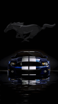Mustang #2