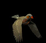 Volando #25