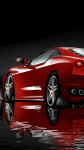 Ferrari #7