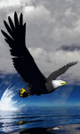 Volando #18