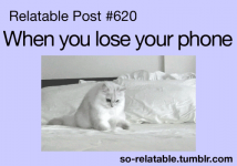 Phone #37