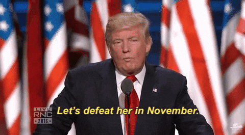 Defeat, Gifs, Donald, Trump, Giphy, Lets, Election, November, Rnc