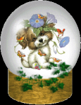 Imagen #41