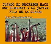 Clase #3