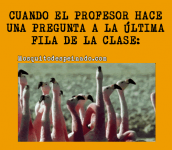 Profesor #1