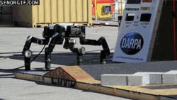 New Multifunctional Spider Bot #1