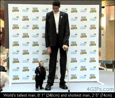 Forgifs.com, Worlds tallest shortest men