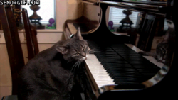 Song Writing is Tough #1