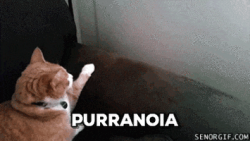 Paranoia #79