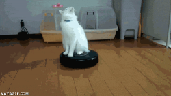 Roomba #2