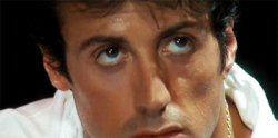 Stallone #114