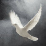 Words #12