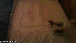 I Cat Get Out of This Hole #1