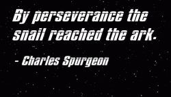 Perseverance #8