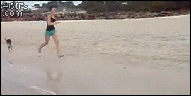 Forgifs.com, Kangaroos beach dog