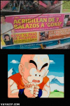 Dragon ball z #4