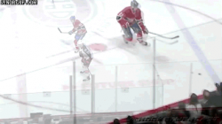 Thats Why You Dont Rattle The Glass at a Hockey Ga #1