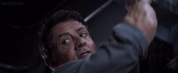 Stallone #48