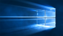Windows #99